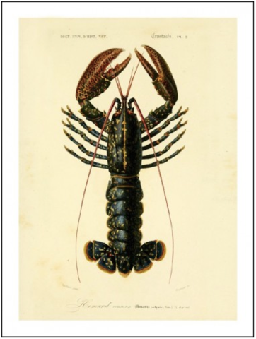 HUMMER