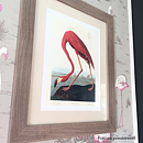 FLAMINGO