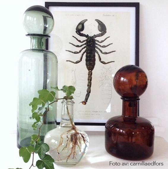 SCORPION