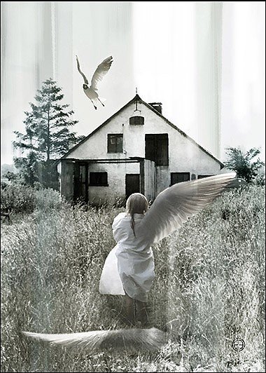 DREAM - VYKORT