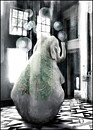 BUBBLES - VYKORT
