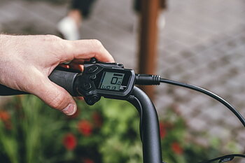  Ecoride  Ambassador  3 M-5 
