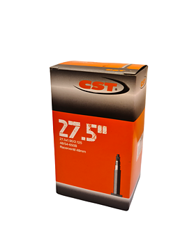 CST Slang 48/54-650B Racerventil