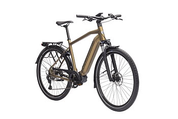  Crescent Elder 20S 10-Vxl