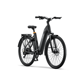 Ecoride Tripper 4 Mittmotor, Svart