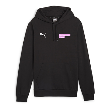 Puma Teamgoal Casuals Hoody (Idrottsgymnasiet Örebro)