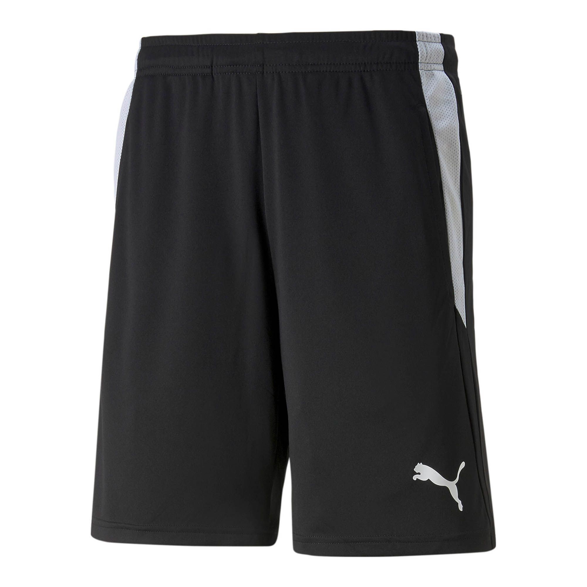 Puma Teamliga Referee Shorts (ÖLIF)