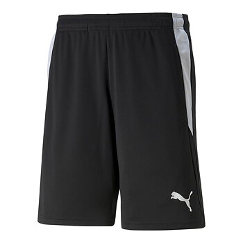 Puma Teamliga Referee Shorts (ÖLIF)