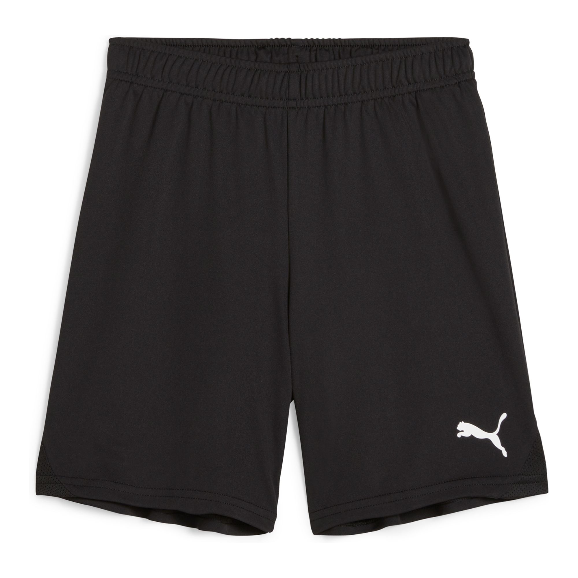 Puma Teamgoal Shorts Jr Träningsshorts (Lillån IBK)