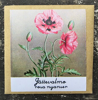 Jättevallmo