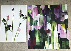"Iris & lupinerna"
