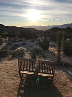 akvarell "Joshua Tree" tavla orginal