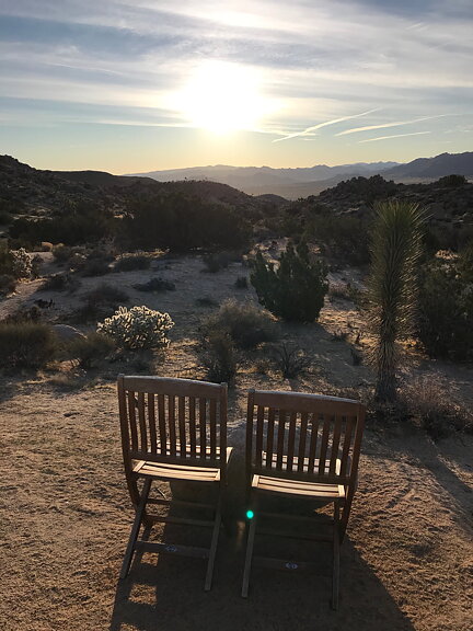 akvarell "Joshua Tree" tavla orginal
