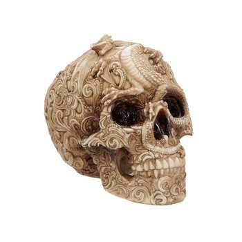 Cranial Drakos
