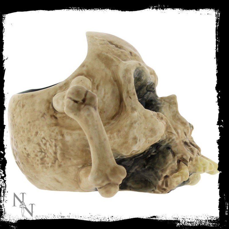 Skalle Mug - 3