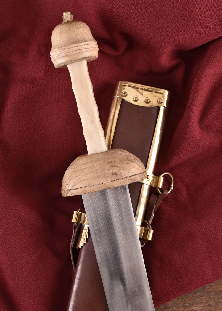 Pompeii Gladius med scabbard och bälte - 2