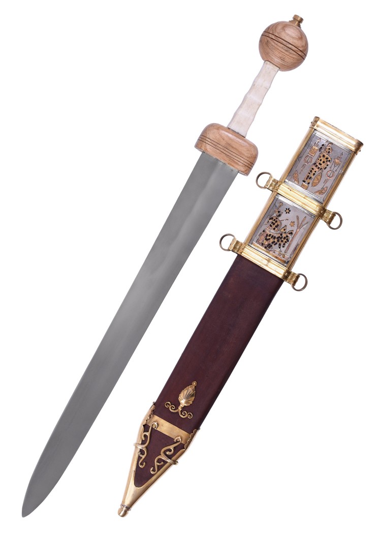 Romersk Pompeii Svärd - Gladius Svärd - 2
