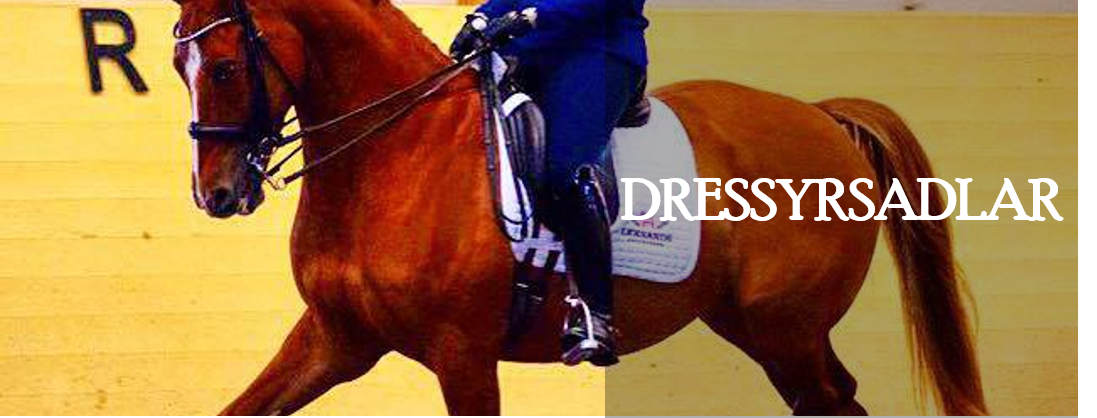 Dressyrsadel