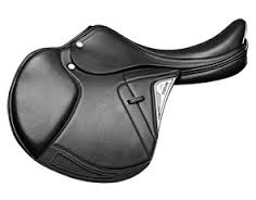 Equiline