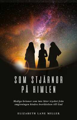 Som stjärnor på himlen - Elizabeth Lane Miller