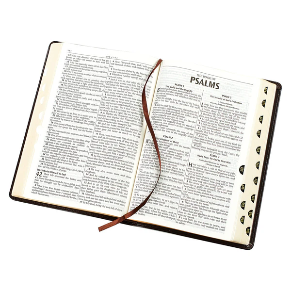 Engelsk Bibel - King James Version - Storstil - Thinline - 6