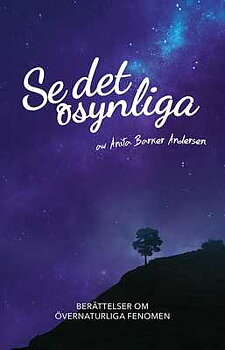 Se det osynliga - Anita Barker Andersen