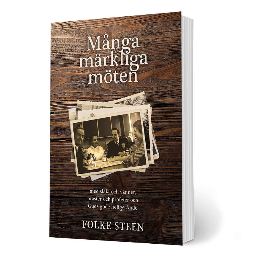 Många märkliga möten - Folke Steen