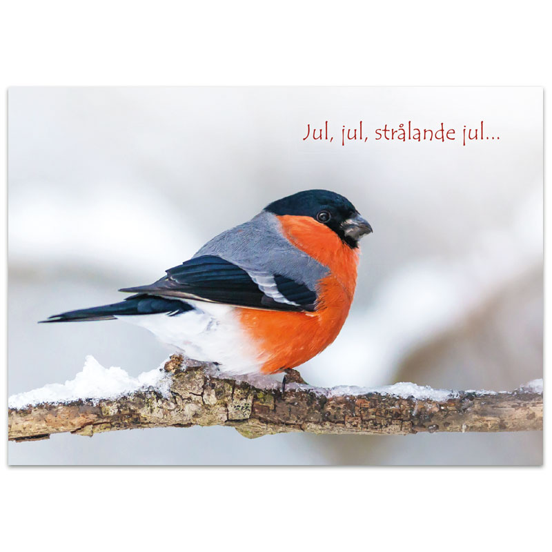  Julkort-Jul, jul, strålande jul…