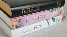 Kreativ Bibel-vit - 4