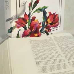 Kreativ Bibel-vit - 3