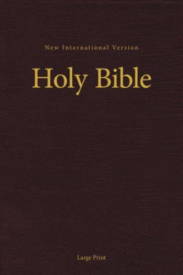 Engelsk Bibel - Storstil - Burgundy - NIV