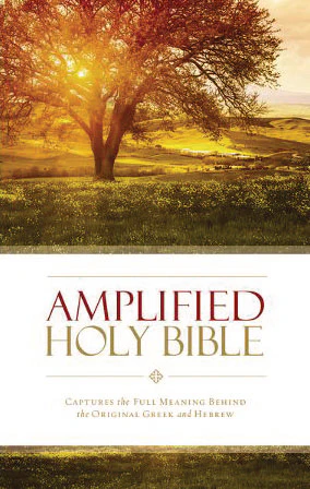Amplified Holy Bible Thinline paperback
