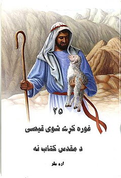 Pashto Barnbibel