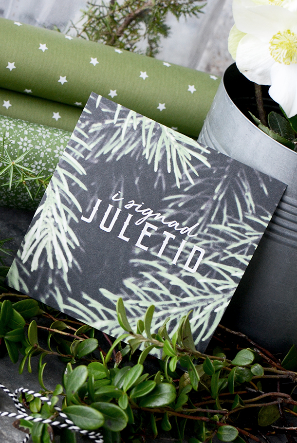MATT JULKORT: I SIGNAD JULETID  
