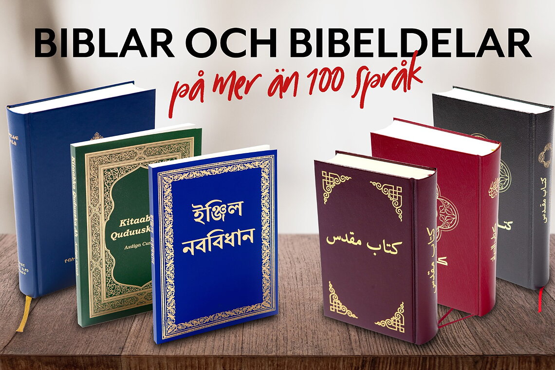 Biblar och Nya Testamenten på andra språk