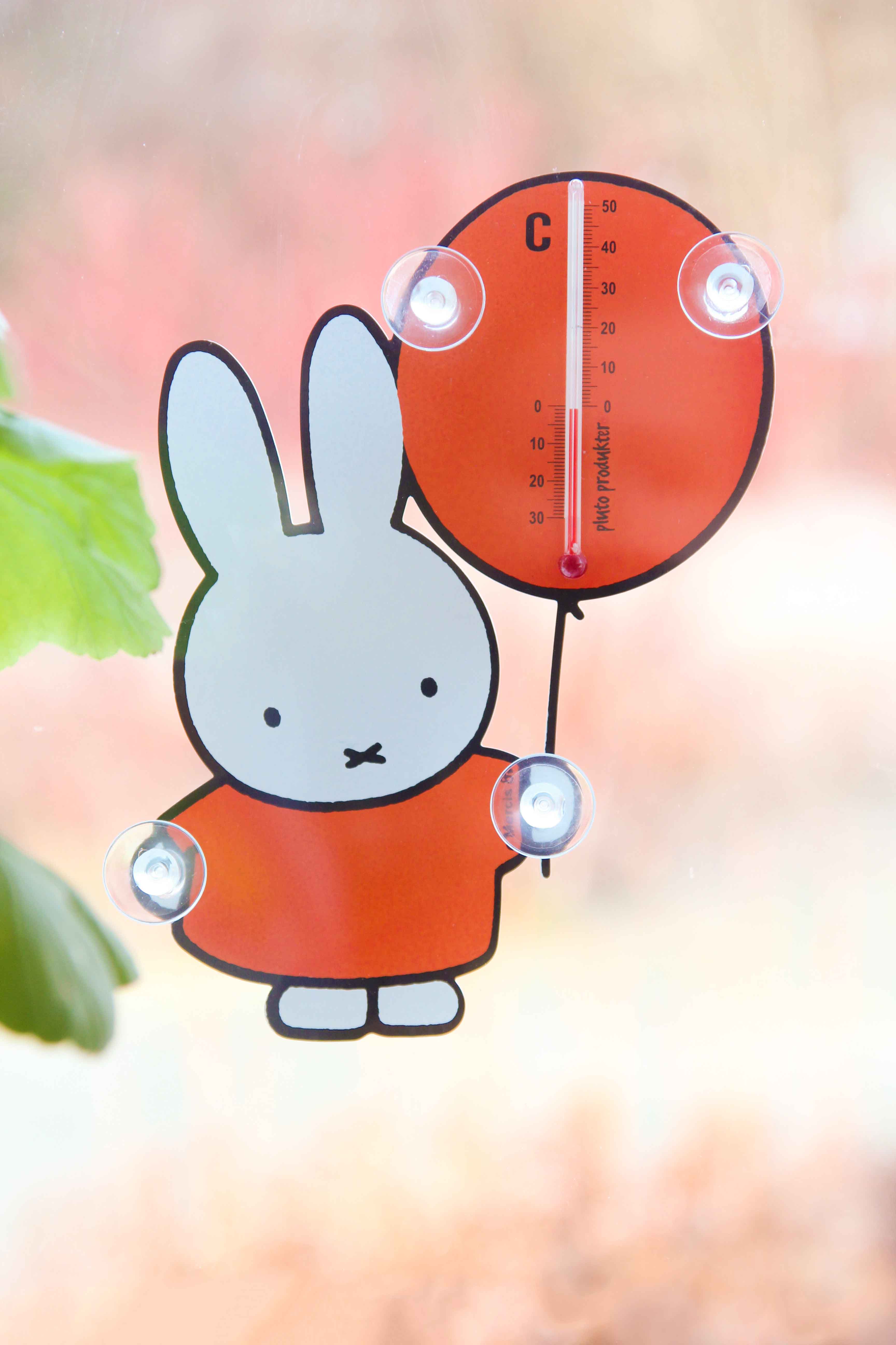 TERMOMETER MIFFY