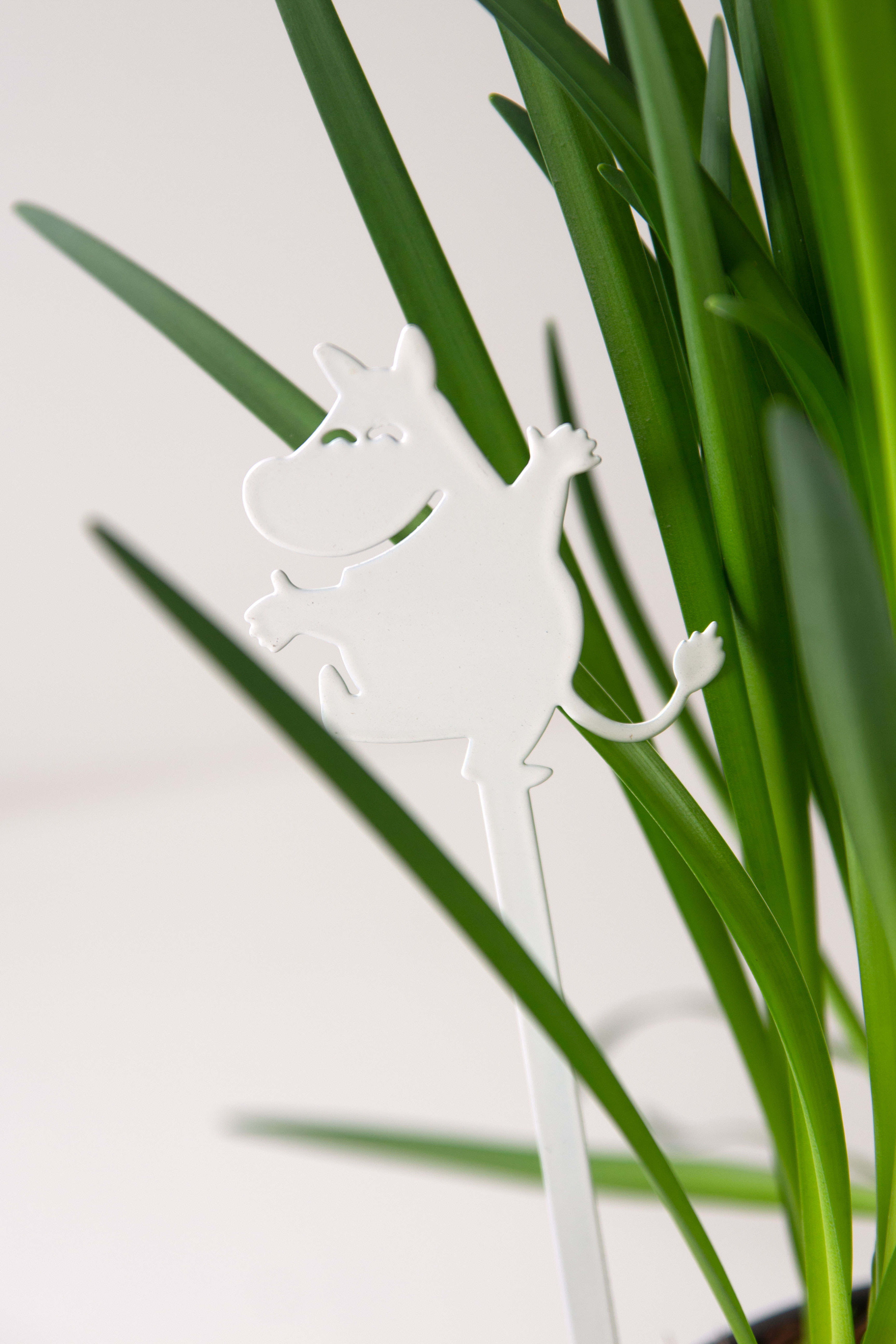 BLOMDECO MOOMIN