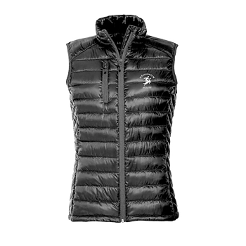 Hudson Väst. Dam.