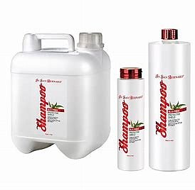 Traditional PLUS Protective Shield Shampoo (SLS FRI)