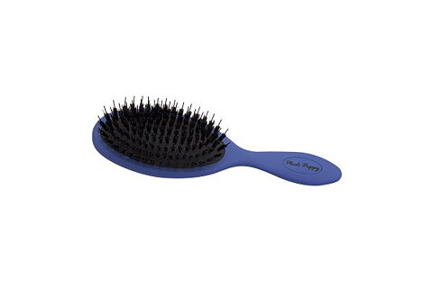 Plush Puppy Blue Anti Static Porcupine
