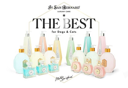 The Best