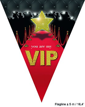 Flaggbanner VIP Party , 5 m