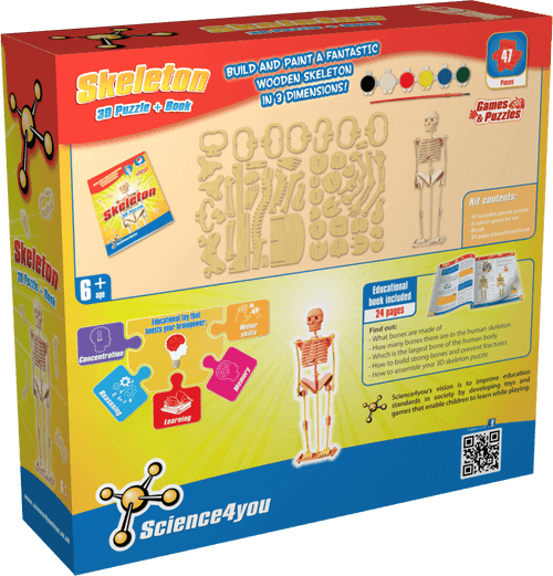 Skjelett byggesett3D, Science4You - 2