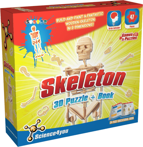 Skjelett byggesett3D, Science4You
