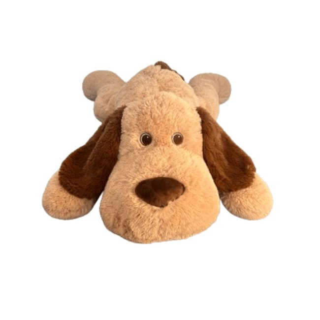 Hunden Tom 1 Meter