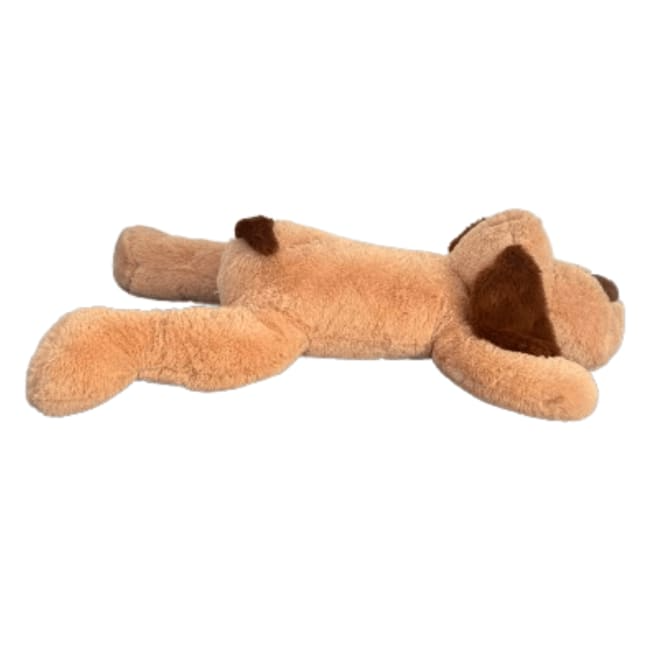 Hunden Tom 1 Meter - 3