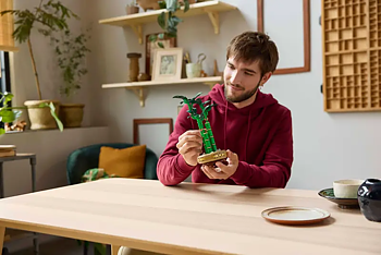 Lego Botanical Collection 10344 Bambudracena