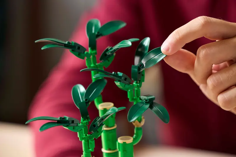 Lego Botanical Collection 10344 Bambudracena - 4