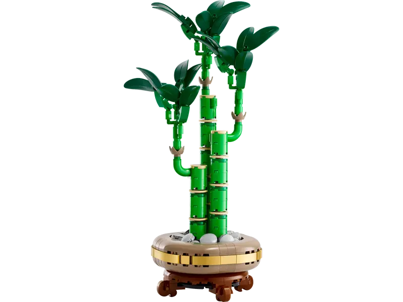 Lego Botanical Collection 10344 Bambudracena - 5