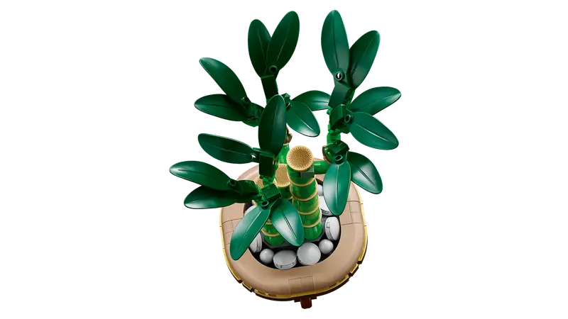 Lego Botanical Collection 10344 Bambudracena - 3